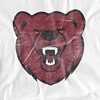 Men's Ursinus College Official Distressed Primary Logo T-Shirt Ursinus College - 2 of 4
