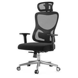 RISOKEYS Ergonomic Office Chair with Adjustable Lumbar Support, Headrest & 3D Armrests - Mesh Desk Chair for Home, Office & Study Room - 1 of 4