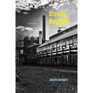 Steady Daylight - by  Joseph Bathanti (Paperback) - 1 of 1