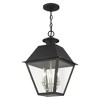 Livex Lighting Mansfield 3 - Light Pendant in  Black - 4 of 4
