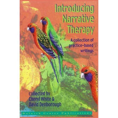 Introducing Narrative Therapy - by  David Denborough (Paperback)