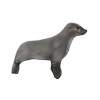 Design Toscano The Baby Fur Seal Statue - 4 of 4