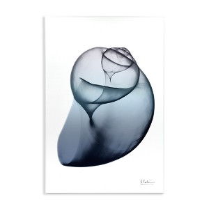 Stupell Industries Contemporary Snail Shell Wall Plaque Art, 13" x 19" - 1 of 4