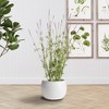 Plum & Post Kayla Pot Small - 2 of 3