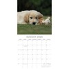 2026 Square Wall Calendar, Golden Retrievers, 16-Month Paw Prints Theme with 180 Reminder Stickers (12x12 In) - 3 of 4