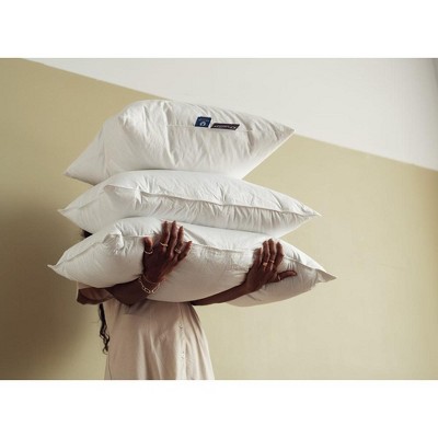 Lincove 26" White Cotton Down-Alternative Pillow Insert