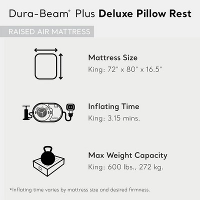 King Size Gray and Black Raised Air Mattress with Built-In Pump