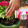 Osmocote 15-9-12 Smart-Release Plant Food Plus, Indoor Outdoor Use, Granules, 1 lb - 3 of 4