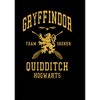 Boy's Harry Potter Gryffindor Quidditch Gold Team Seeker T-Shirt - 2 of 4