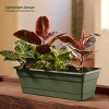 Bloem Dura Cotta Resin Rectangle Window Box Planter with Saucer Tray - 2 of 4