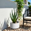 NAYSAYE Raised Garden Bed 15 Inch Round Corten Steel Pre Rusted Planter Box for Outdoor Gardening, White, 12"*15.5"*15.5" - 4 of 4