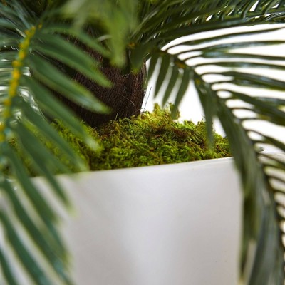 29" Green Cycas in White Ceramic Planter