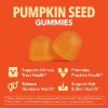Pumpkin Seed Oil Gummies, 200mg Pumpkin Seed Extract 20:1 Supplement for Bladder and Urinary Tract Support, Orange Flavor, Havasu Nutrition - 2 of 4