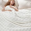 Bedsure | Cute Soft Cozy Checkered Throw Blanket for Couch - 2 of 4