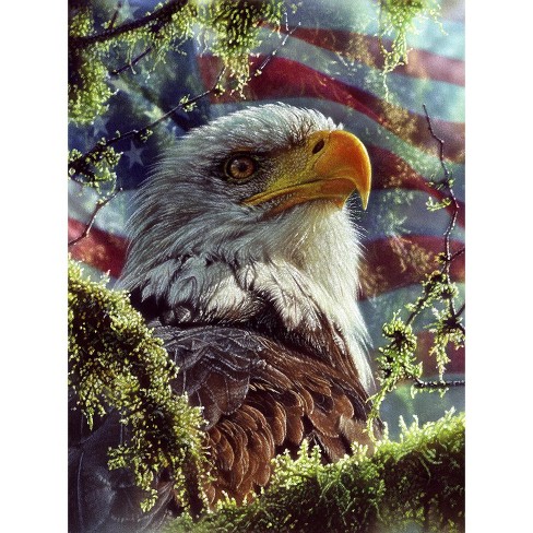 Sunsout Eagle Colors 1000 pc   Jigsaw Puzzle 21865 - image 1 of 4