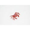 Crab, Red, Figure, Model, Figurine, Educational, Animal, Kids, Gift Toy Plastic Rock Crab Replica     2 Inches     CWG164 BB28 - 4 of 4