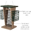 America's Favorite Green/Tan 2-In-1 Raw Peanut And Suet Feeder (9.96" X 9.96" X 14.04") - 2 of 4