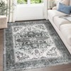 COZONY Washable Rug, Stain Resistant Non-Slip Area Carpet with Vintage Medallion for Living Room and Bedroom - 2 of 4