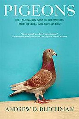 Pigeons - by  Andrew D Blechman (Paperback)