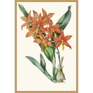 Amanti Art Paxton Tropicals IV by Jennifer Paxton Parker Framed Canvas Wall Art - 1 of 4