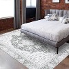 Boho Printed Washable Area Rug, Distressed Foldable Low Pile Carpet, Non Slip Vintage Accent Rug for Living Room Bedroom Office - 4 of 4