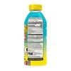 Prime Hydration Limited Edition Sports Drink - 16.9 fl oz Bottle - 3 of 3