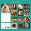 2026 Square Wall Calendar, Guinea Pigs, 16-Month Animals Theme with 180 Reminder Stickers (12x12 In) - 4 of 4