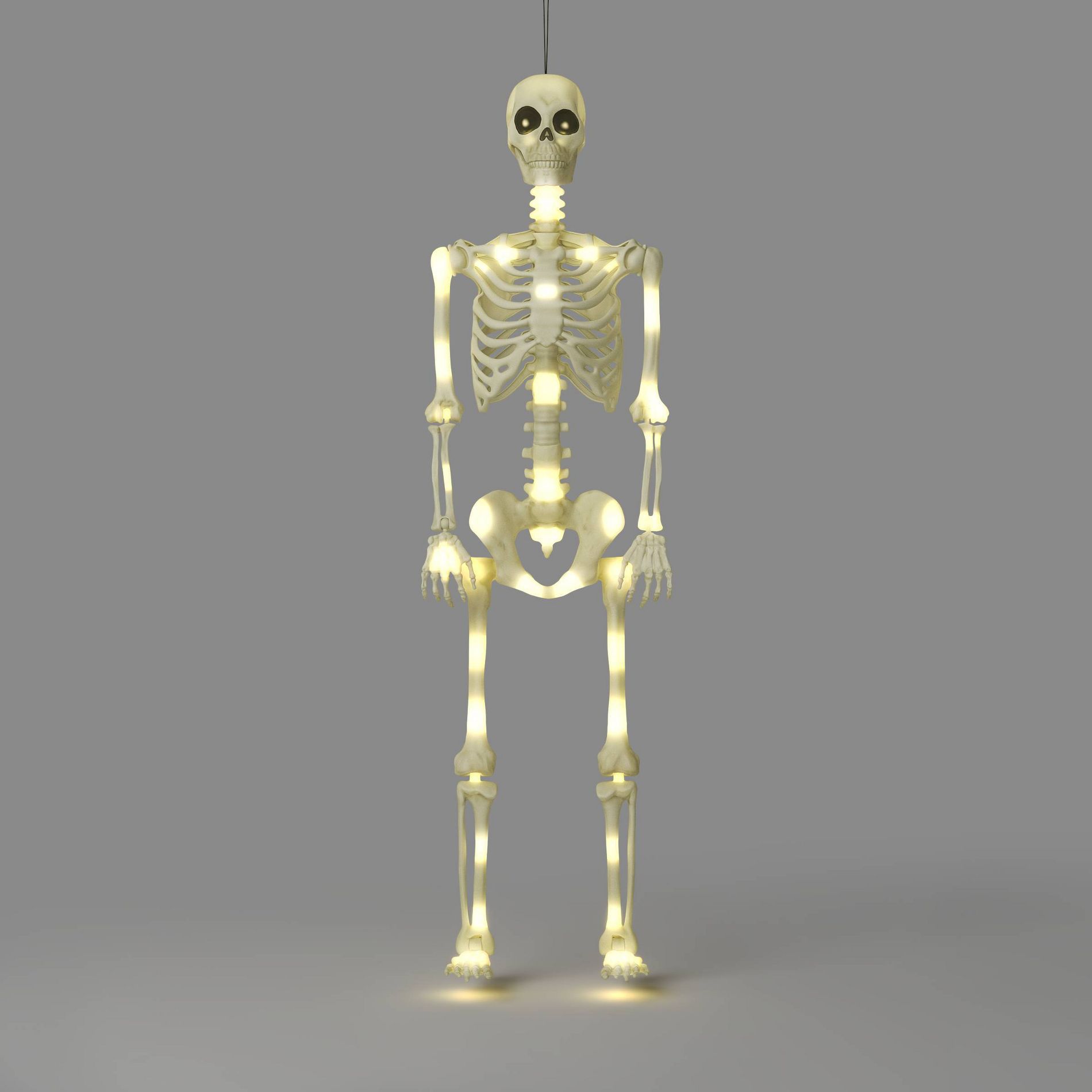 61" Lit Skeleton with Warm White Lights Halloween Decorative Prop White - Hyde and EEK! Boutique™
