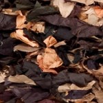 brown/multi