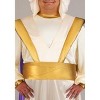 HalloweenCostumes.com Plus Size Men's Disney Aladdin Prince Ali Costume | Officially Licensed Shirt,  Cape, Turban, and Shoe Covers - 2 of 4
