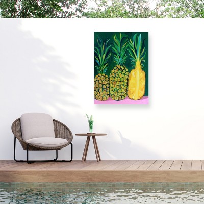 Trademark Fine Art - Alice Straker  Pineapples Matted Framed Art