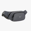 Hynes Eagle The Wander Waist Bag-Gray - 4 of 4