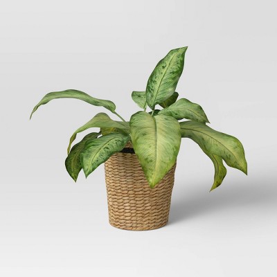 Green Leaf in Basket - Threshold™