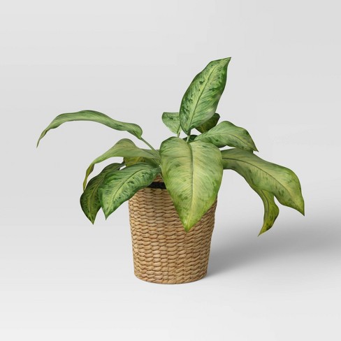 Green Leaf in Basket - Threshold™ - image 1 of 4