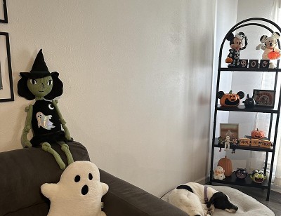 Guest review image 1 of 1, zoom in