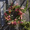 Mixed Floral and Foliage Wreath 20"D - 3 of 3