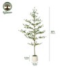 DR.Planzen 84" Artificial Olive Tree - 7FT UV Resistant Fake Plant with Black Fruits in 10.5" White Pot for Indoor/Outdoor Floor & House Decor - 4 of 4