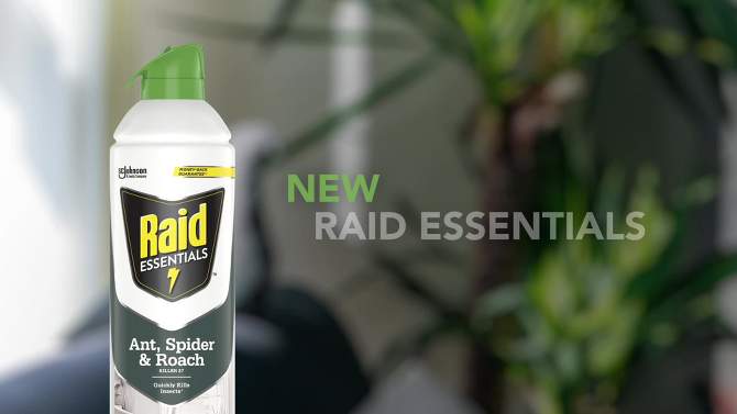 Raid Essentials Ant, Spider &#38; Roach Killer Aerosol - 10oz, 2 of 19, play video