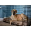Big Barker 7" Orthopedic Dog Bed - Sleek Edition - 2 of 4