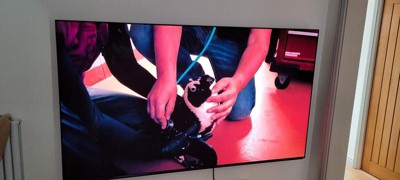 Guest review image 1 of 1, zoom in