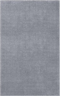 Sterling Gray Shag Rectangular Indoor Easy-Care Rug