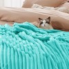Bedsure | Indulge in Comfort Bed Blanket with Unique Chunky Corduroy Texture - 3 of 4