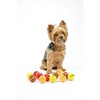 Thanksgiving Dog Tennis Balls - image 2 of 4