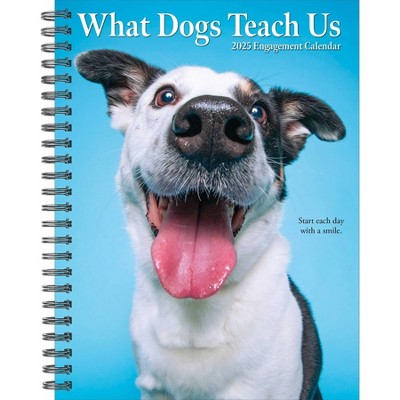 Willow Creek Press What Dogs Teach Us 2025 Engagement Calendar: Weekly Planner, Spiral Binding, 6.5x8.525", Blue