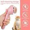 BABYYER 3 in 1 Cat Steam Brush, Pet Spray Hair Removal Comb for Shedding & Grooming, Water Brush for Cats Dogs Small Animals Long Short Haired - 3 of 4
