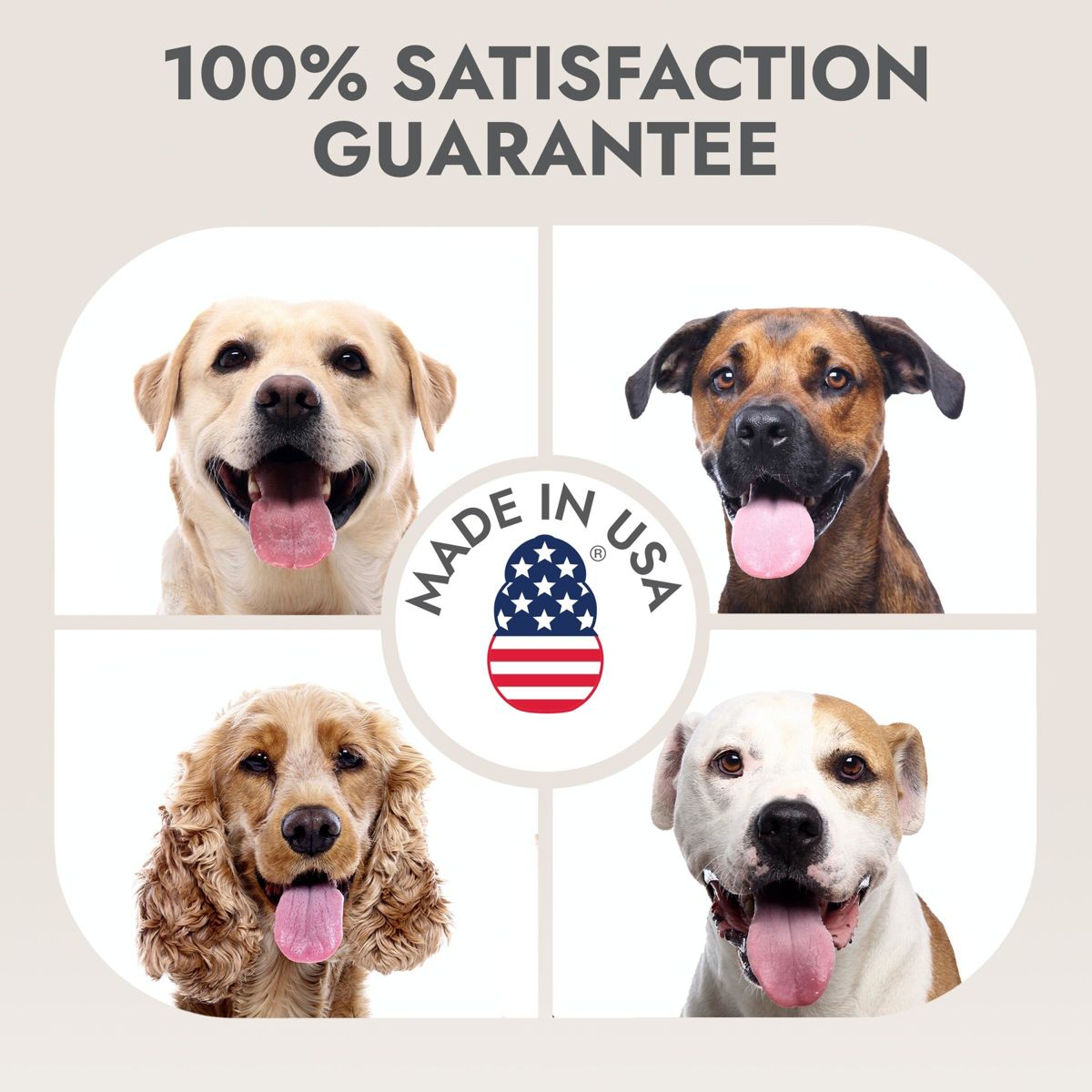 KONG Leave in Waterless Fresh Scented Dog Shampoo - 16 fl oz - thumbnail 6