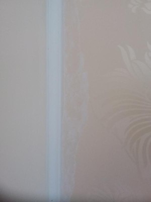 Guest review image 1 of 1, zoom in