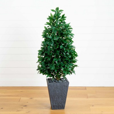 57-inch Green Bay Leaf Cone Topiary Tree in Gray Clay Planter