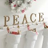 Christmas Stocking Holder Peace - Wondershop™ - 2 of 4