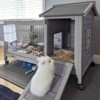 Aivituvin Rabbit Hutch | Outdoor Bunny Cage (Inner Space 4.84ft²)-AIR24 - 3 of 4